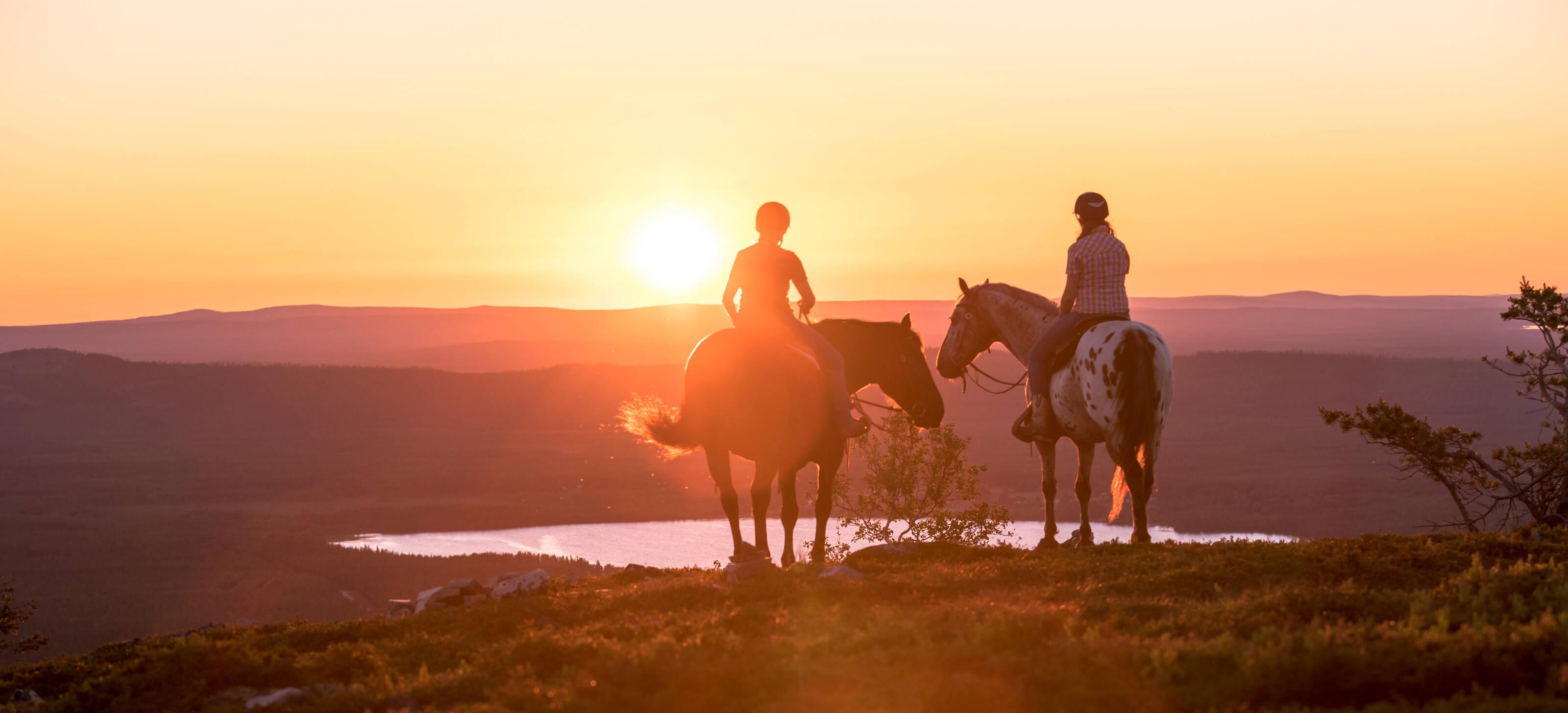 two riders with their horses staring at the Midnight Sun