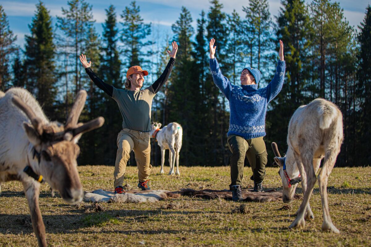 Reindeer yoga session at Ruka. - Riku Niemi