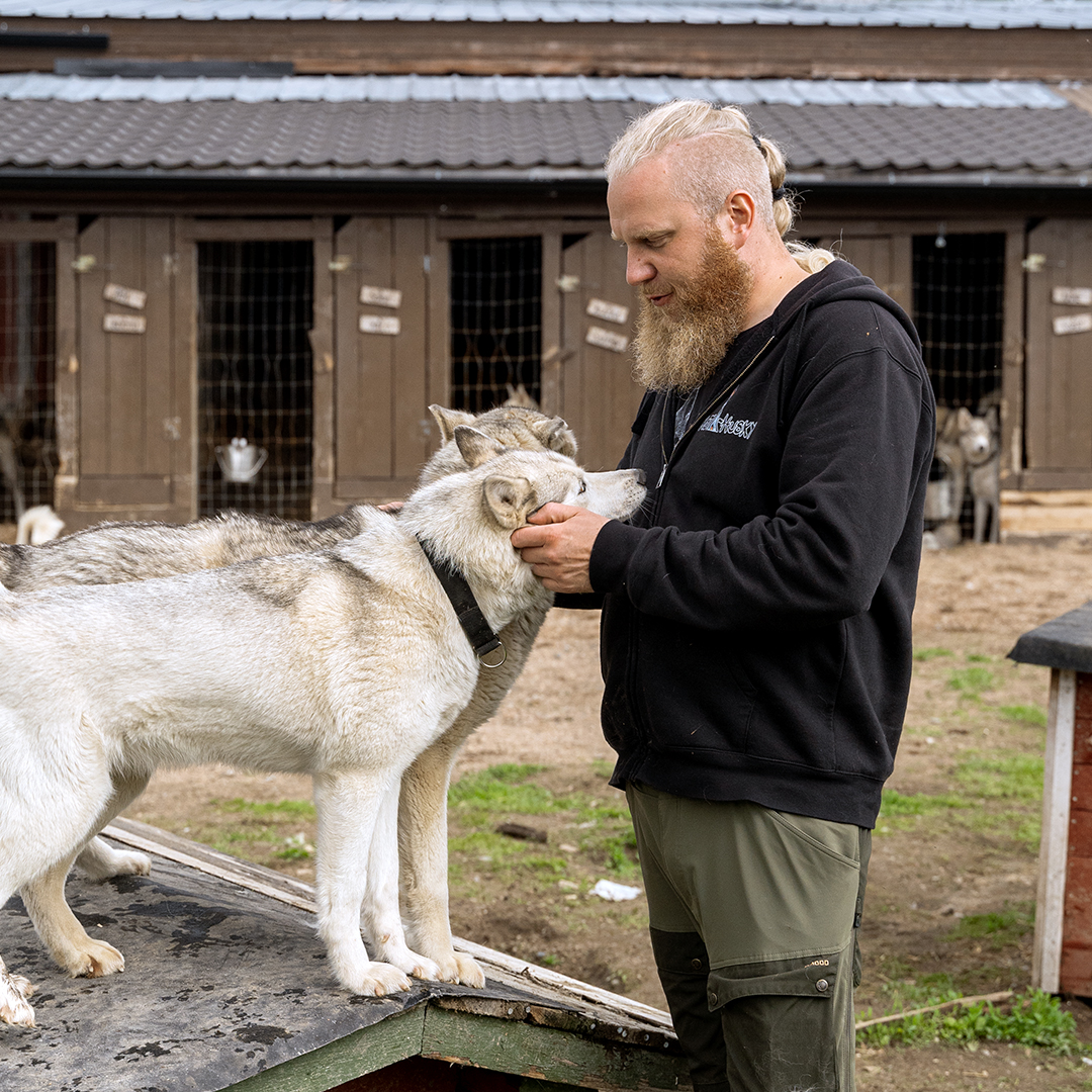 A long-bearded man petting two huskies in Finnish Lapland.