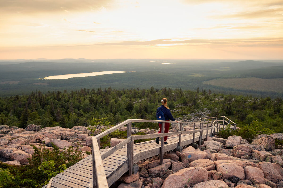 Person admiring the scenery in Salla National Park. - Harri Tarvainen