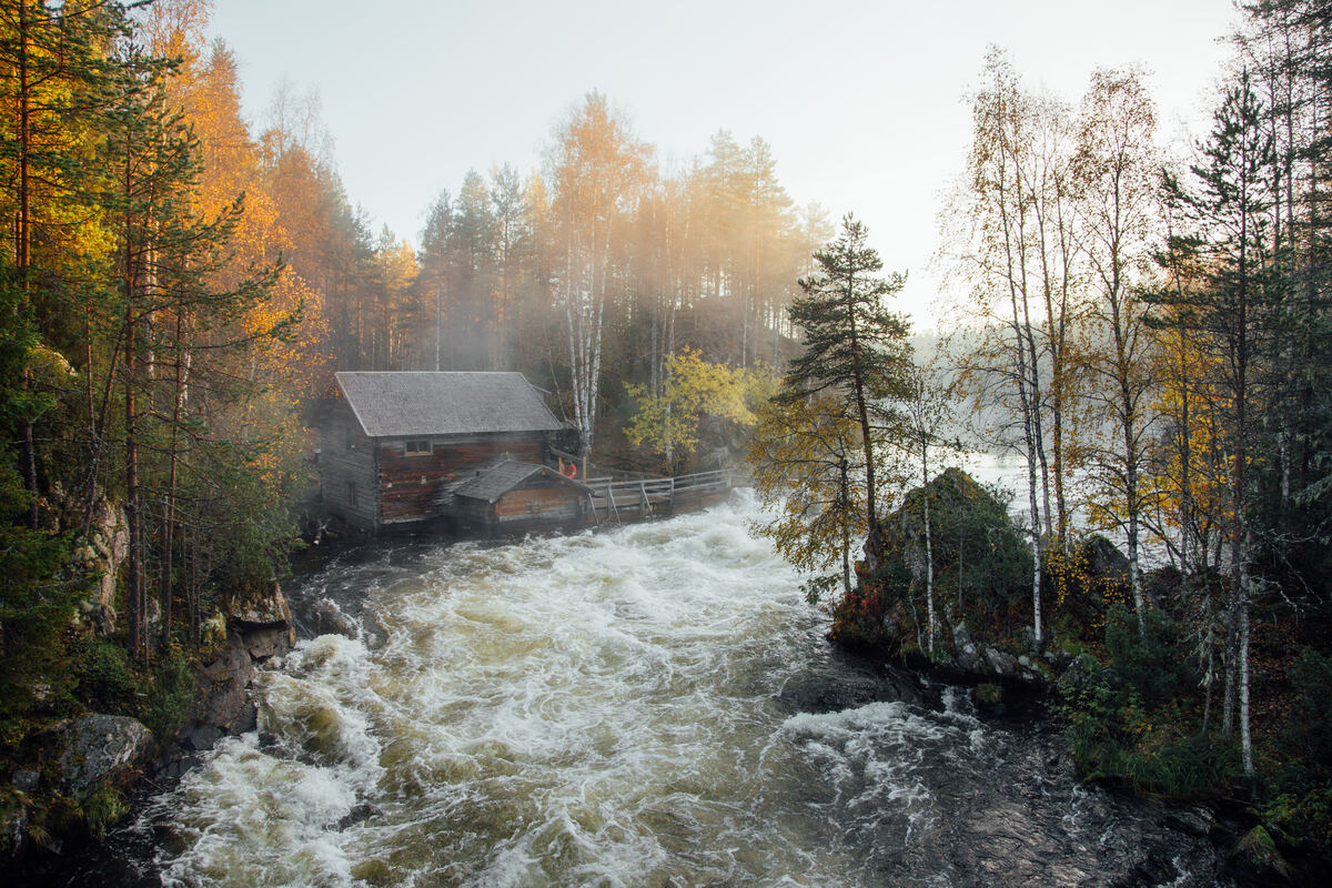 Picturesque rapids flowing through Oulanka National Park. - Julia Kivelä