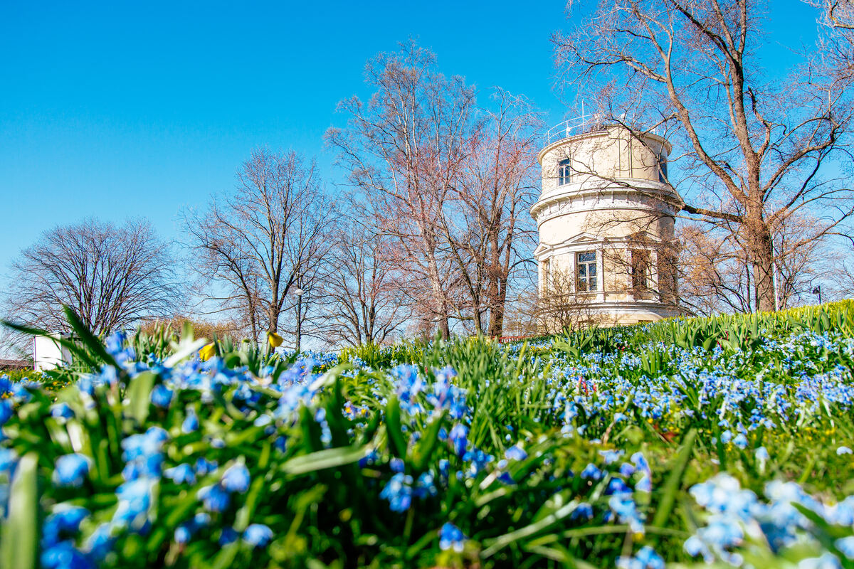 Tähtitorninmäki, Helsinki in Spring