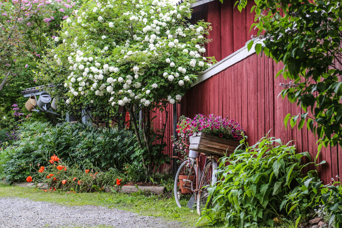 Charming red wooden house in Kristiinankaupunki. - Sanna Wallenius