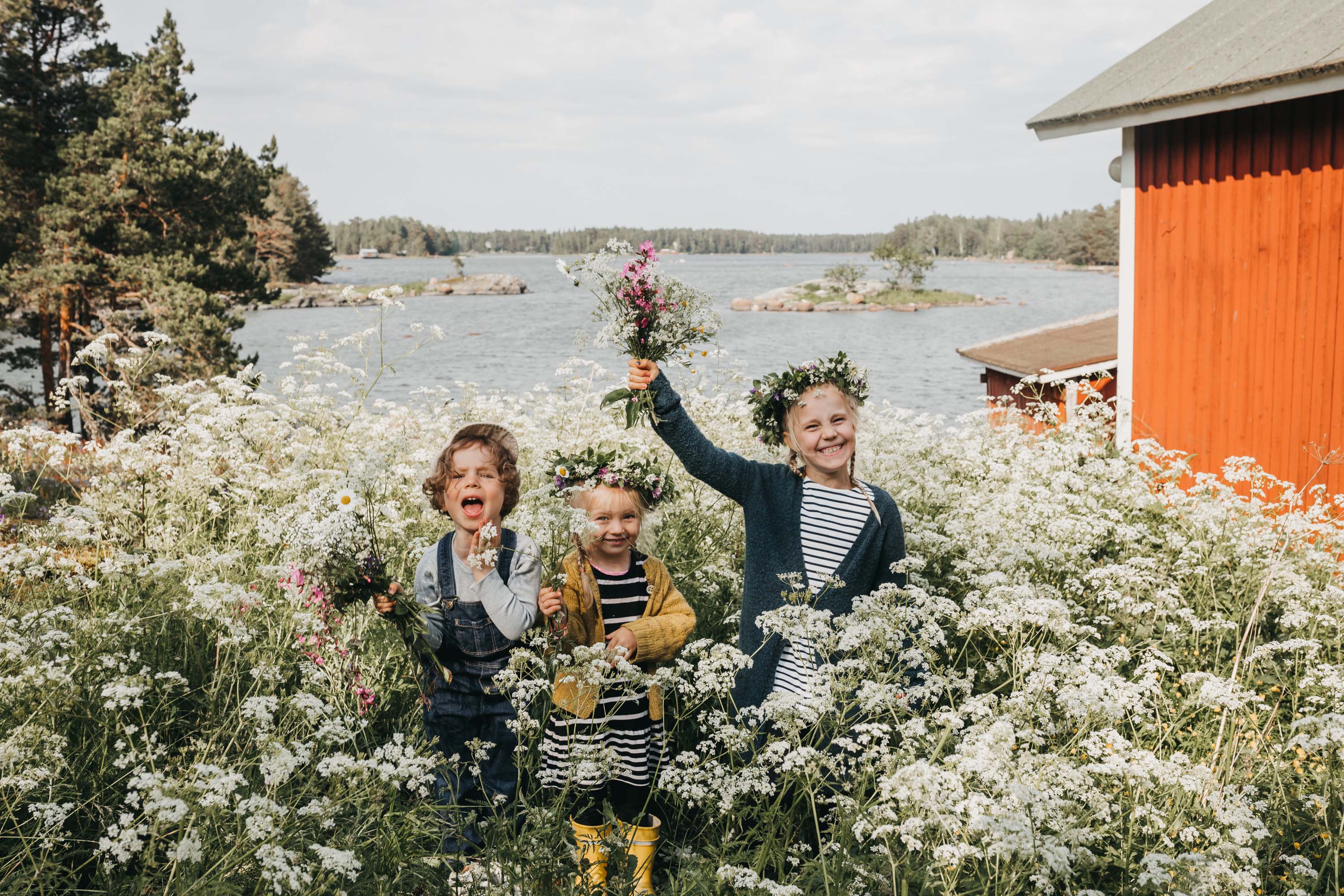 Laughing children on a flower meadow by the Baltic sea in Finland.