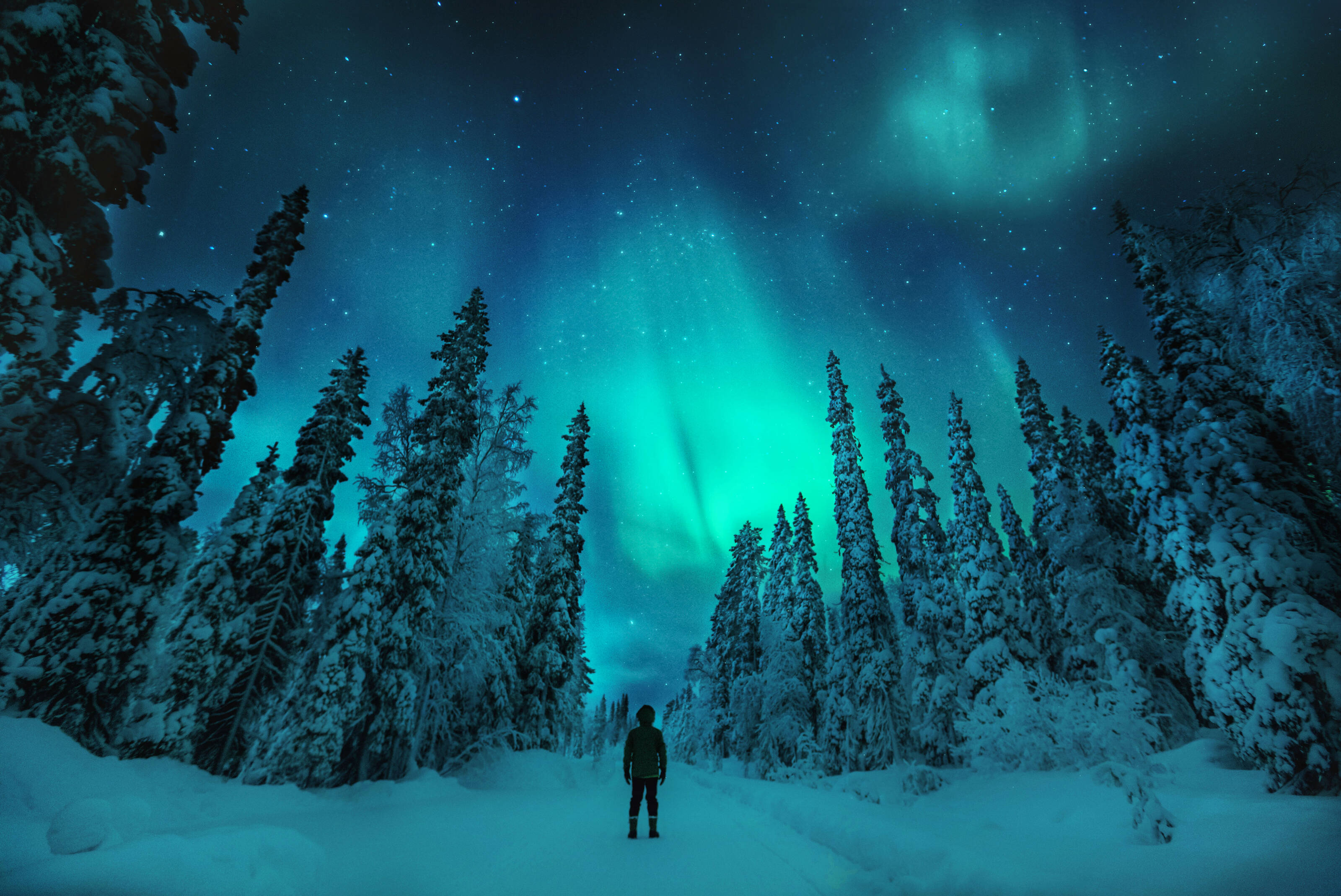 Une femme fait de la randonnée dans le parc national de Pyhä-Luosto, en Laponie finlandaise.