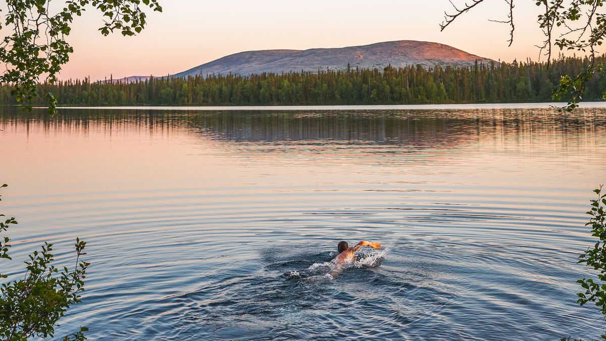 Person swimming in a serene lake in Ylläs, illuminated by the golden glow of the midnight sun. - Visit Ylläs