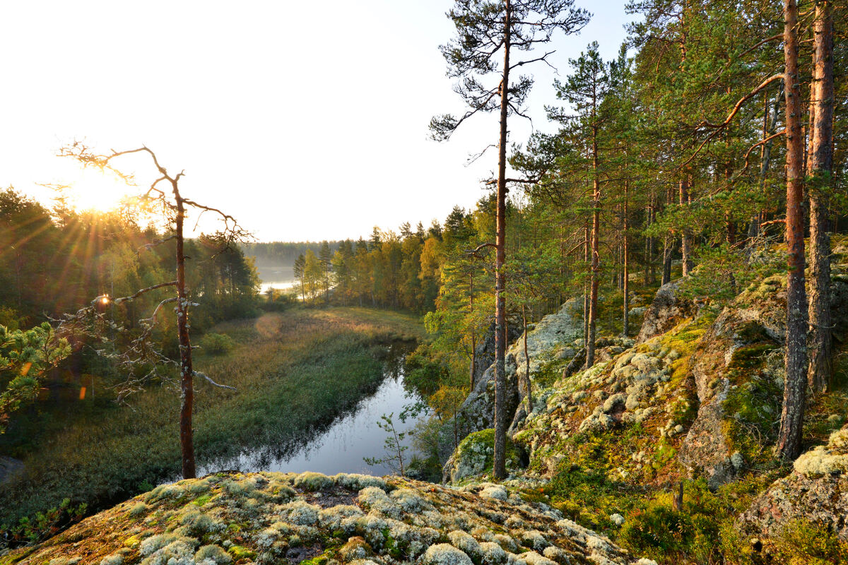 Lake view along the Norppapolku trail in Saimaa Geopark.