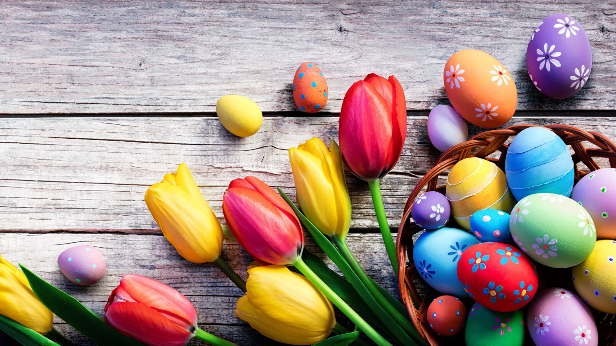 Easter eggs and tulips